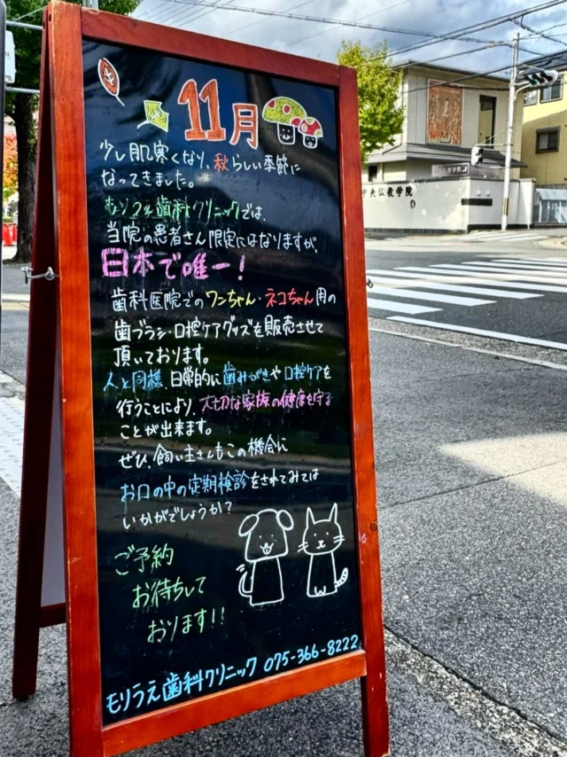こんにちは♩✨

当院ではワンちゃん・ネコちゃん用のデンタルケアグッズを販売しております🪥🦮🐈

歯科医院での取り扱いは日本初☝🏻🎶💞

院長が実際に使ってみて良かったものを販売させて頂いております👄

大事なワンちゃん・ネコちゃんの歯は健康であってほしいですよね🦷🙏

ワンちゃん・ネコちゃんも人間も健康で長生きするには口腔ケアが大切です👊🏻🤍

受付前に設置しておりますので、宜しければチェックしてみて下さい✔️

是非飼い主さんもこの機会にお口の中の定期検診にもお越し下さいね😊

🦷もりうえ歯科クリニック🦷
【休診日】木・日・祝 〒615-0097 京都府京都市右京区山ノ内大町8-2 電話番号：075-366-8222
#もりうえ歯科クリニック#歯科医院#歯医者#歯医者さん#歯科医師#歯科衛生士#歯科助手#歯列矯正#矯正#歯の矯正#ワイヤー矯正#マウスピース矯正#きれいな歯#きれいな口元#裏側矯正#むし歯予防#インビザライン#インビザライン矯正#マウスピース矯正#ホワイトニング#京都#kyoto#京都市#右京区#太秦天神川#京都市右京区#西院#京都歯医者#京都市歯医者#右京区歯医者#西院歯医者
