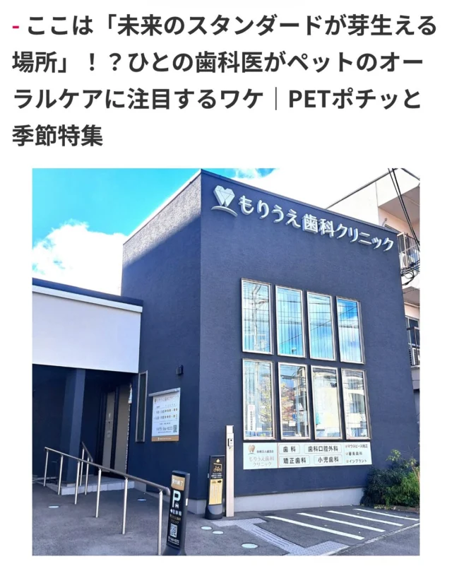 こんにちは♩✨

この度ご縁があり、もりうえ歯科クリニックがペット商品卸売り・仕入れ専門サイト「PETポチッと」にて特集されました🪥🦮🐈

当院ではワンちゃん・ネコちゃん用のデンタルケアグッズを販売しており、歯科医院での取り扱いは日本初☝🏻🎶💞

もし宜しければ是非皆様チェックしてみて下さい😊

https://www.petpochitto.com

当院では、院長が実際に使ってみて良かったデンタルケアグッズを販売させて頂いております👄

大事なワンちゃん・ネコちゃんの歯は健康であってほしいですよね🦷🙏

ワンちゃん・ネコちゃんも人間も健康で長生きするには口腔ケアが大切です👊🏻🤍

受付前に設置しておりますので、宜しければチェックしてみて下さい✔️

是非飼い主さんもこの機会にお口の中の定期検診にもお越し下さいね😊

（4枚目〜7枚目は院長の愛犬です🐕‍🦺🖤）

🦷もりうえ歯科クリニック🦷
【休診日】木・日・祝 〒615-0097 京都府京都市右京区山ノ内大町8-2 電話番号：075-366-8222
#もりうえ歯科クリニック#歯科医院#歯医者#歯医者さん#歯科医師#歯科衛生士#歯科助手#歯列矯正#矯正#歯の矯正#ワイヤー矯正#マウスピース矯正#きれいな歯#きれいな口元#裏側矯正#むし歯予防#インビザライン#インビザライン矯正#マウスピース矯正#ホワイトニング#京都#kyoto#京都市#右京区#太秦天神川#京都市右京区#西院#京都歯医者#京都市歯医者#右京区歯医者#西院歯医者
